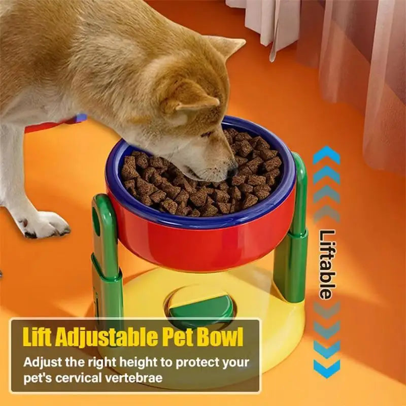 Adjustable Double Pet Feeder | Foldable Slow Feed Bowls with 3 Height Levels