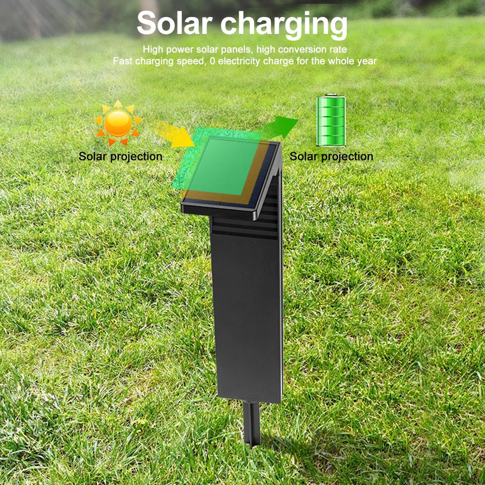 Solar Garden Pathway Lights | Waterproof Outdoor LED Yard & Landscape Lighting
